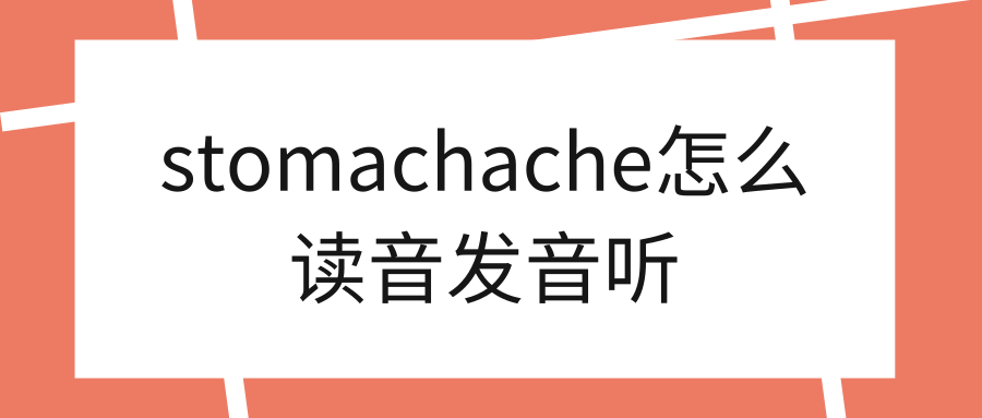 stomach英语图片